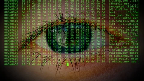 Human eye blinking behind the real-time live code of a Crypto-miner hex dump. 스톡 동영상 120131116