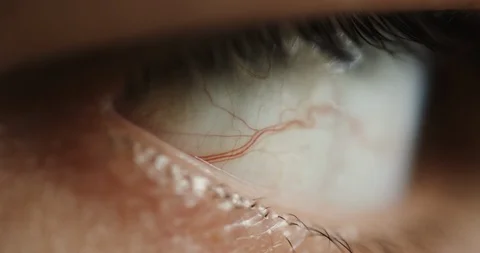 Human eye with bold red wines Stock-Footage 96035475