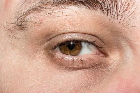 The human eye brown Stock Photos