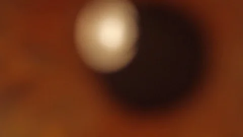 Human eye close-up Stock Footage 82662961