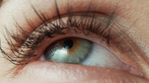 Human eye close-up with green iris. Women without make-up on face Stock Footage 310180858