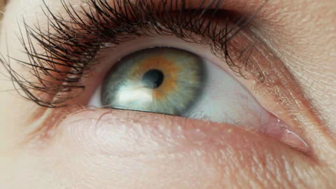 Human eye close-up with green iris. Women without make-up on face Stock Footage 310181050