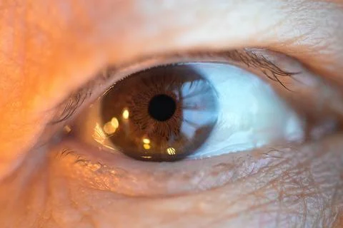 Human Eye Close Up With Light Reflection Foto stock