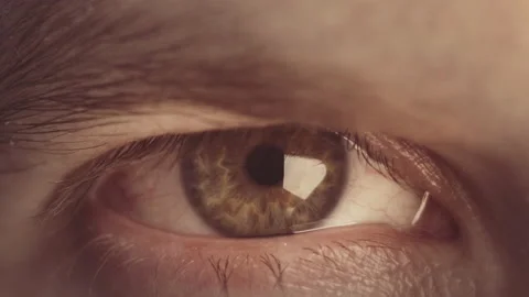 Human eye close-up. Looks at the camera without blinking. Iris, pupil, eyelashes Stock Footage 142721207