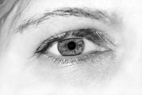 Human eye close up macro as background 스톡 사진