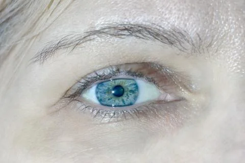 Human eye close up macro as background Stock-Fotos