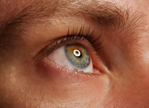 Human eye close up Stock Photos