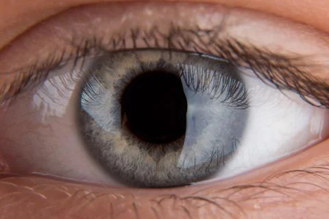 Human eye close-up. Stock Photos