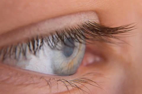 Human eye close-up. Stock Photos
