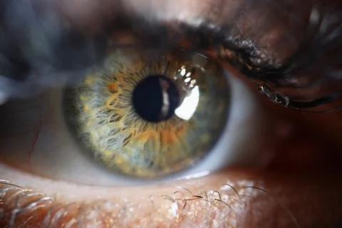 Human eye close up Stock Photos