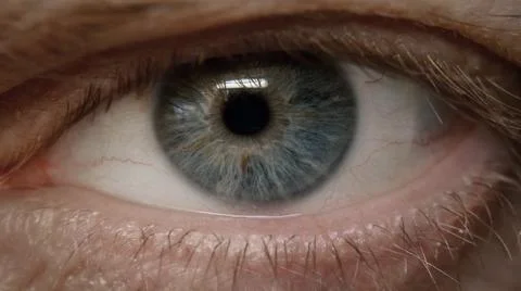 Human eye close up. Stock Photos