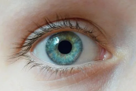 Human eye close up 스톡 사진
