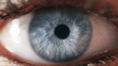 Human eye close-up shot. Zooming in into eye iris. Micro shot. Stock Footage