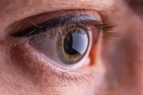 Human eye close up view Stock Photos