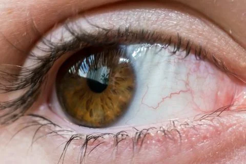 Human eye closeup Stock Photos