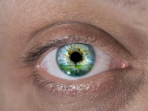 The human eye closeup. Reflection of tree, grass, sky. The concept of environ Stock Photos