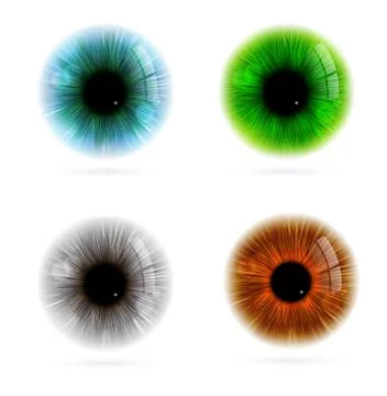 Human eye color Stock Illustration