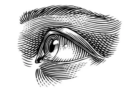 Human eye drawing in engraved hand drawn style. Traditional hatching technique Stock Illustration