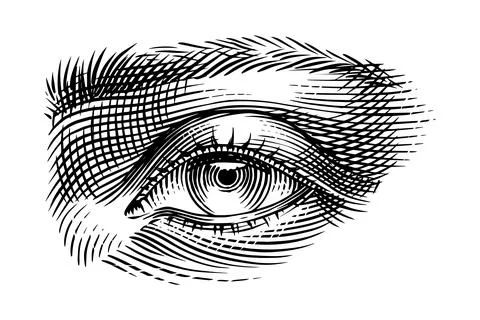 Human eye drawing in engraved hand drawn style. Traditional hatching technique Illustration