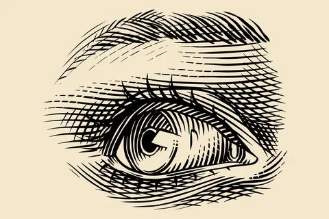 Human eye drawing in engraved hand drawn style. Traditional hatching technique Illustration