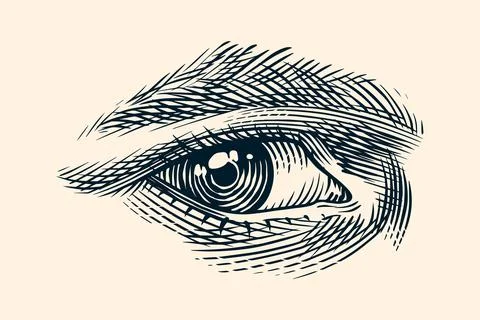 Human eye drawing in engraved hand drawn style. Traditional hatching technique Illustration
