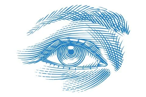 Human eye drawing in engraved hand drawn style. Traditional hatching technique Illustration