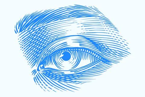 Human eye drawing in engraved hand drawn style. Traditional hatching technique Illustration