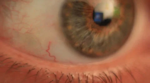 Human Eye. Extreme macro of a human eye green and brown Stock Footage 39002245