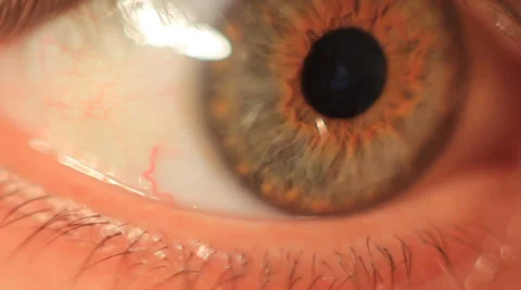 Human Eye. Extreme macro of a human eye green and brown Stock Footage 39003495