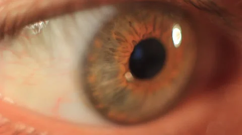 Human Eye. Extreme macro of a human eye green and brown Stock Footage 39004338
