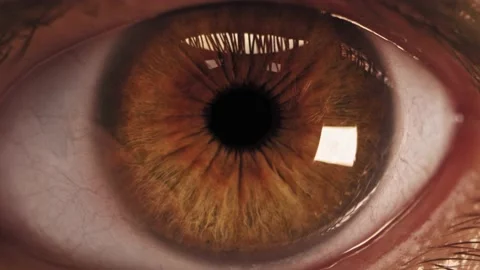 Human eye extrime close up Stock Footage 149668476