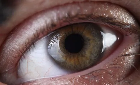 Human eye with eyelashes cornea and pupil closeup Stock Photos