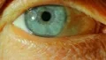 The human eye. HD Footage