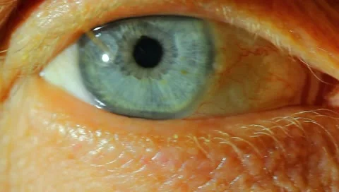 The human eye. Stock Footage 10748048