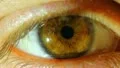 The human eye. HD Footage