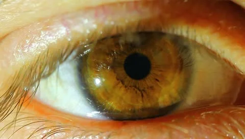 The human eye. Stock Footage 10748060