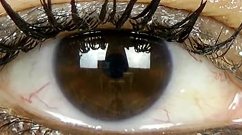 Human Eye Stock Footage 68880659