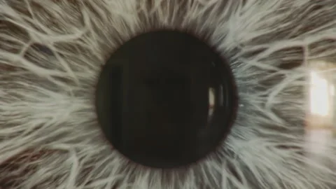 Human eye grey iris and pupil extreme macro. Stock Footage 198372401