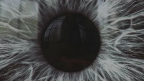 Human eye grey iris and pupil extreme macro. Stock Footage 199086661