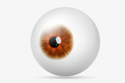 Human eye Stock Illustration