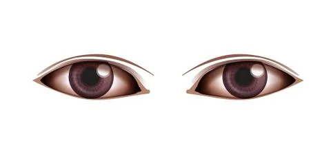 Human Eye Stock Illustration