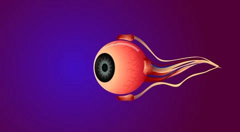 Human eye Stock Illustration