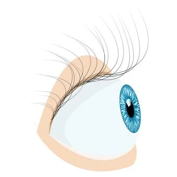 Human eye. Stock Illustration