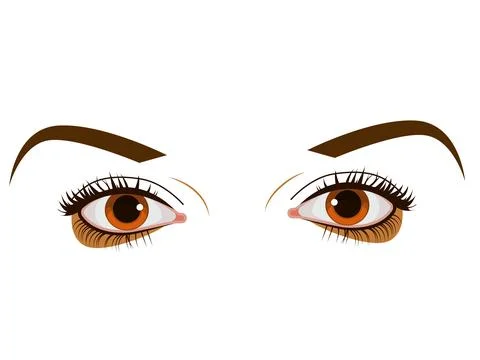 Human Eye Stock Illustration