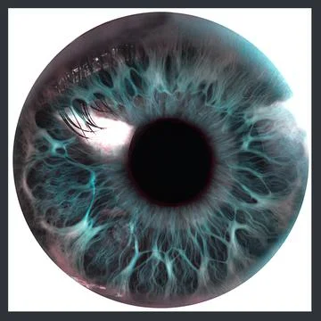 Human eye illustration image Stock Illustration