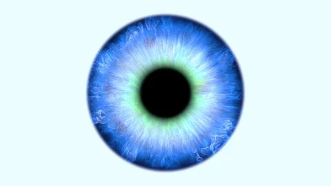 Human eye iris animation 4K #1 Stock Footage 94160475