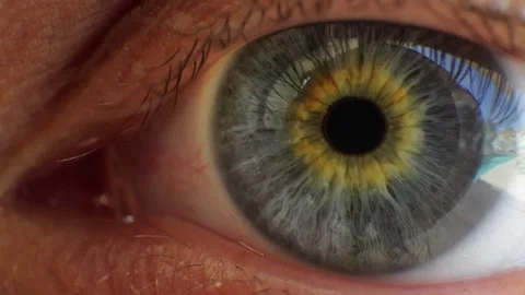 Human Eye Iris - Extreme Close Up Video stock 318205485