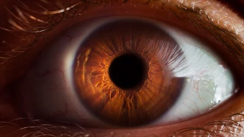 Human eye iris opening pupil extreme close up slow motion 60fps 4k Stock Footage