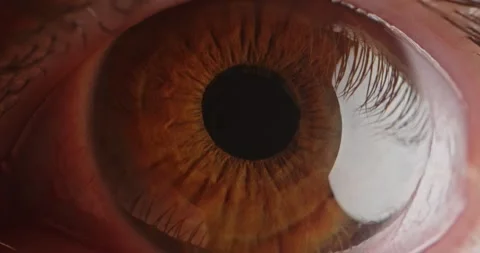 Human eye iris opening pupil extreme close up. Retina Stock Footage 261242805
