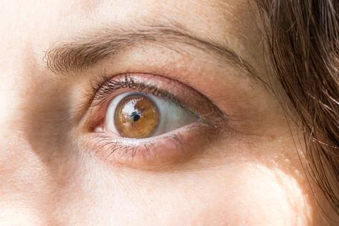 Human eye with lens close-up macro. Stock Photos